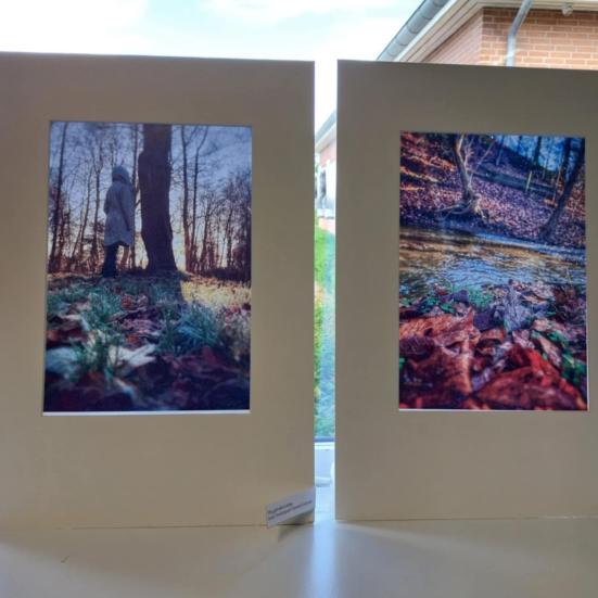 Fotos fra udstillingen