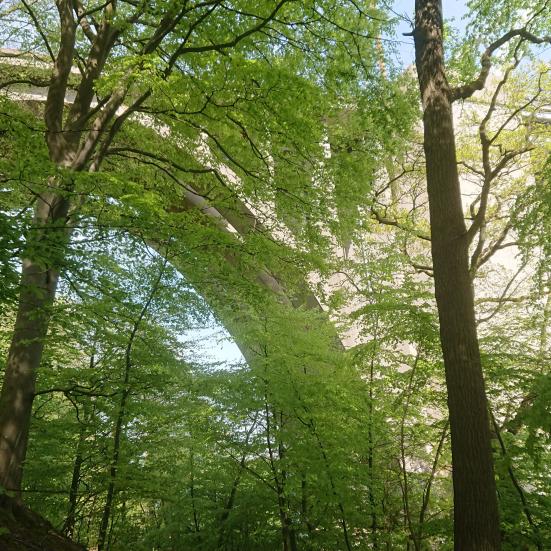 Foto fra turen