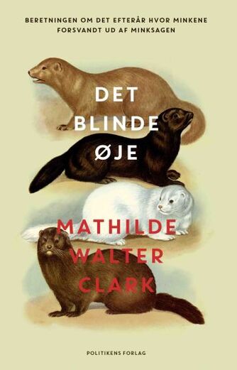 Mathilde Walter Clark: Det blinde øje