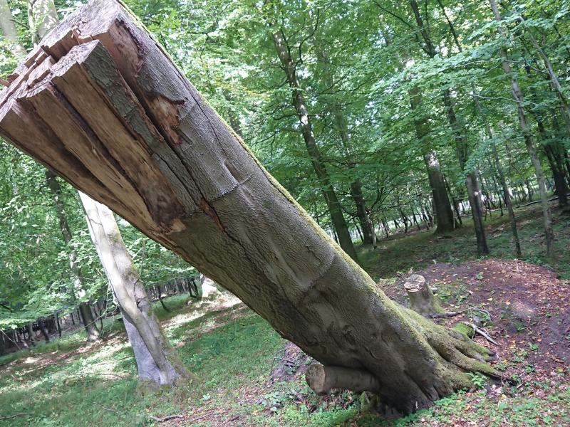 Foto fra et tidligere arrangement