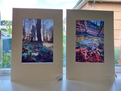 Fotos fra udstillingen
