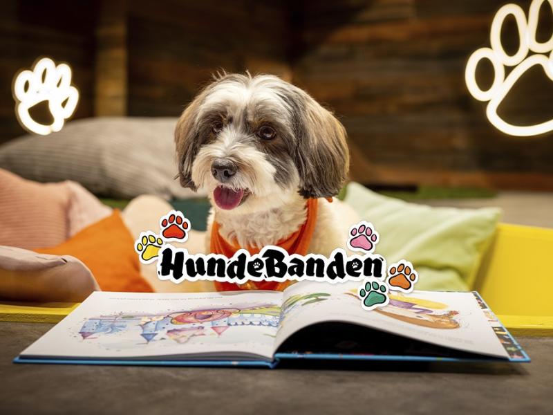 Den lille hund Alba, læser en bog