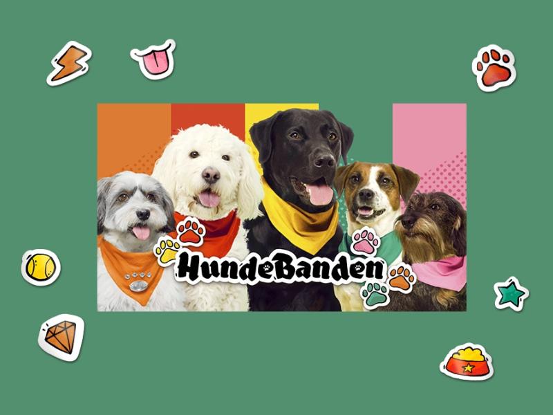 De 5 hunde i HundeBanden