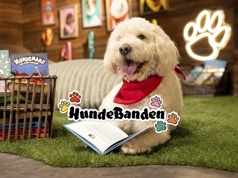 Den hvide hund Ollie læser