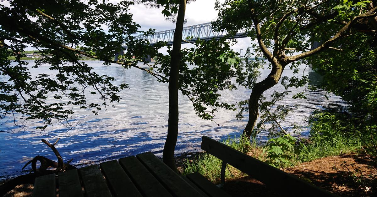 S sonens Sidste LitteraTUR Kaffe Middelfart Kultur Bibliotek s-sonens-sidste-litteratur-kaffe-middelfart-kultur-bibliotek
