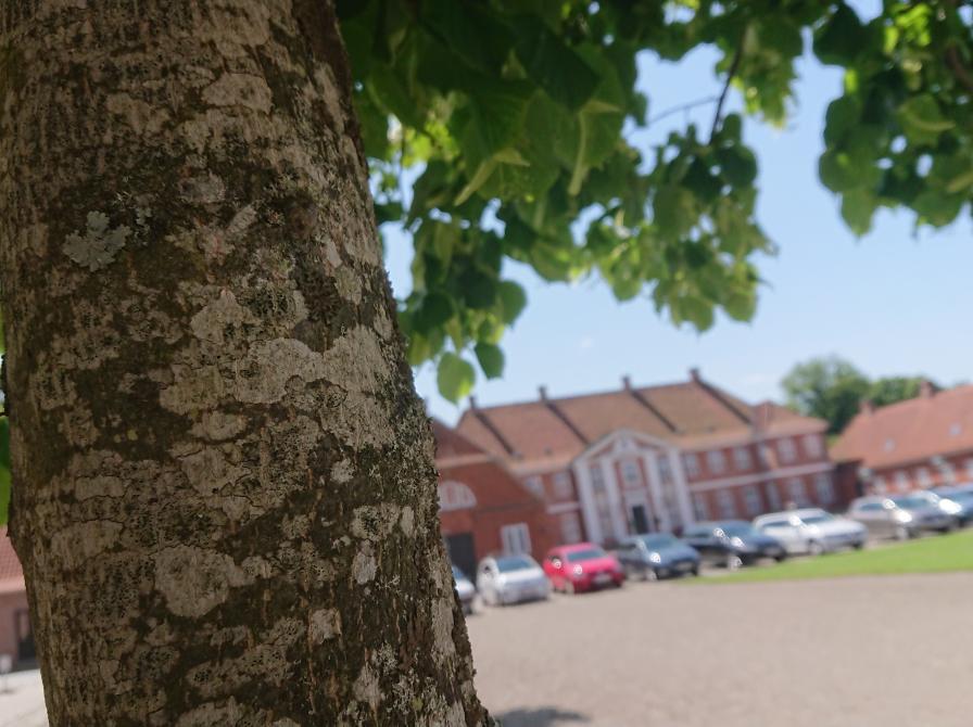 Foto fra turen