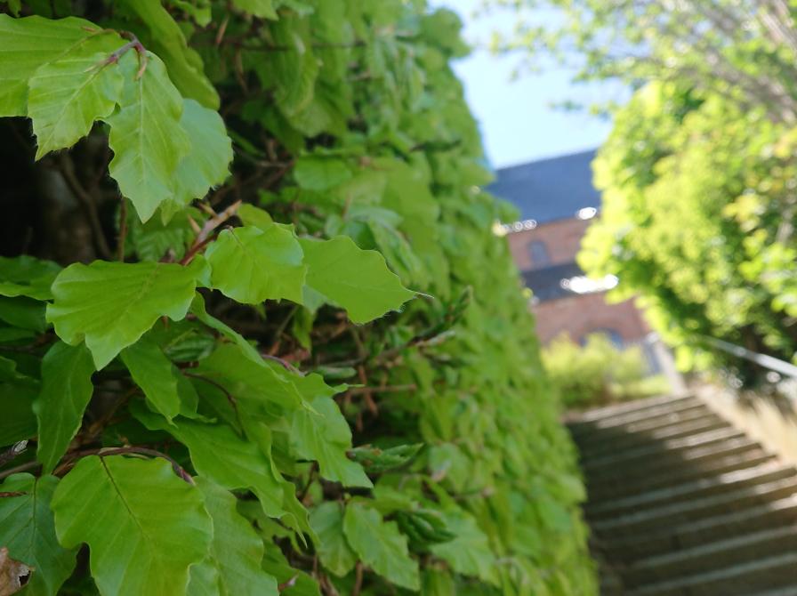 Foto fra turen