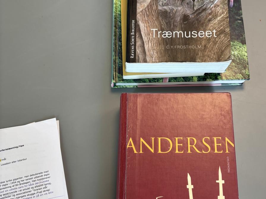 Et par af de bøger der blev talt om