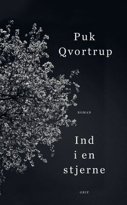 Puk Qvortrup: Ind i en stjerne : roman
