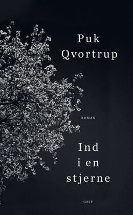 Puk Qvortrup: Ind i en stjerne : roman